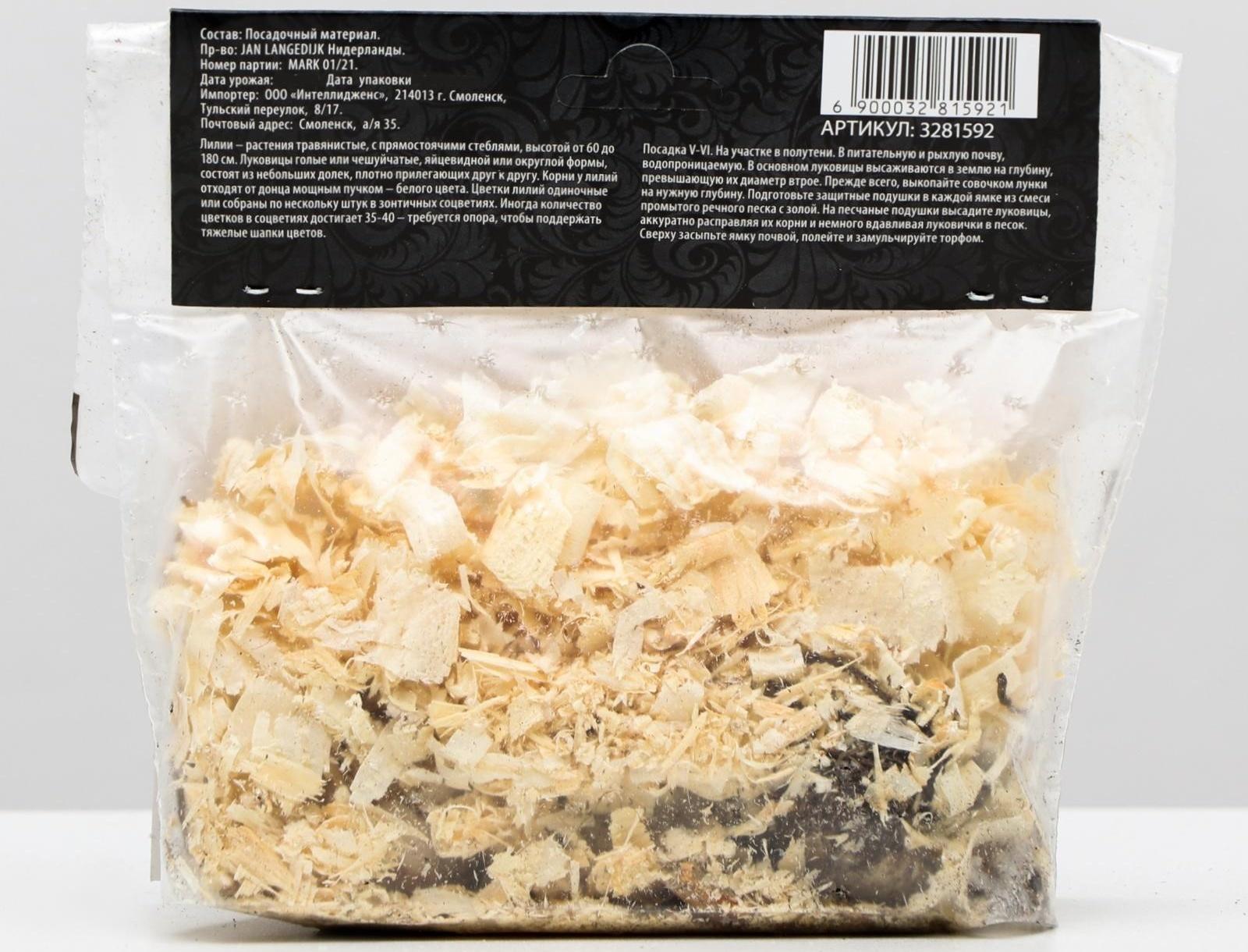 Лилия Азиатская 