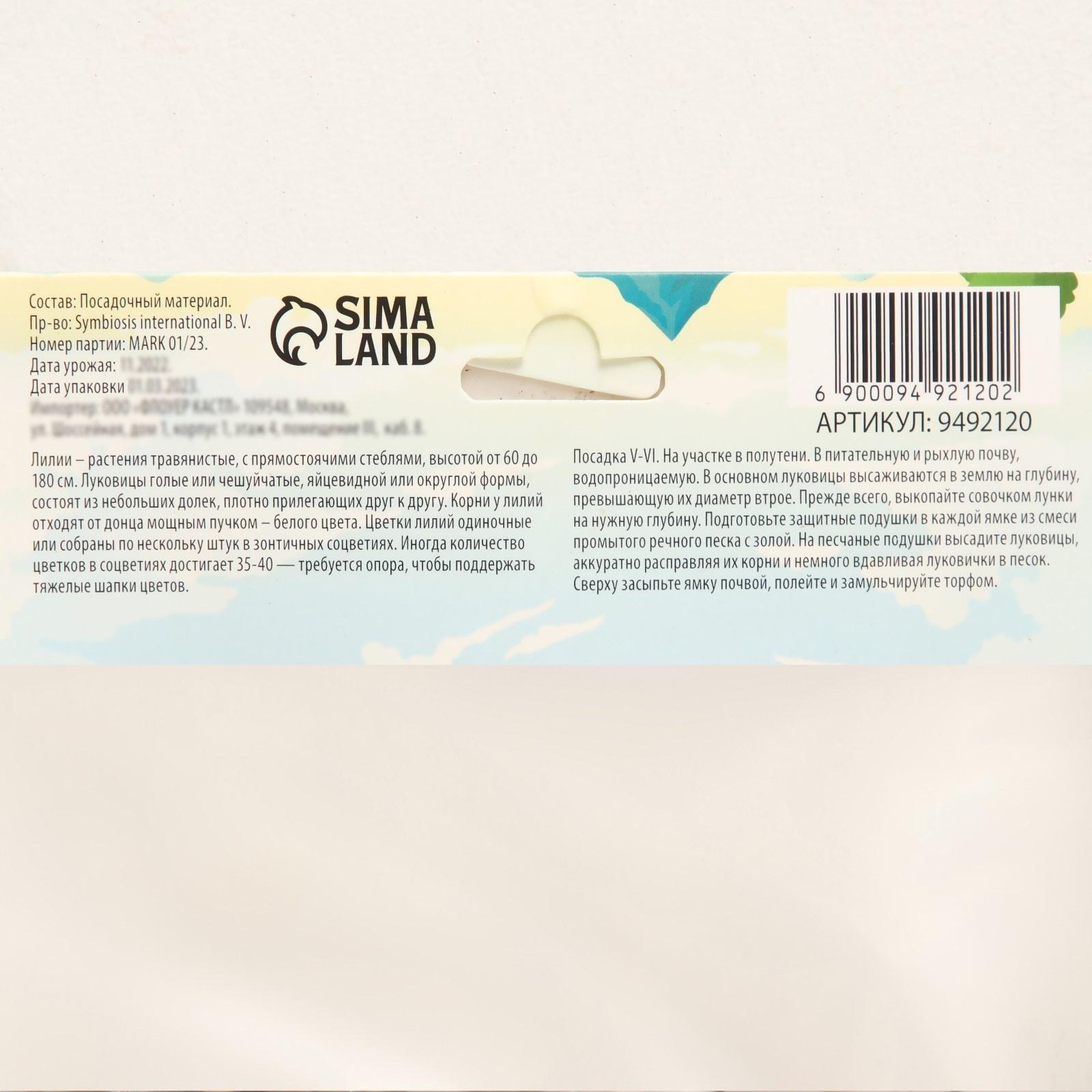 Лилия Тигровая 