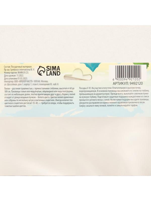 Лилия Тигровая 