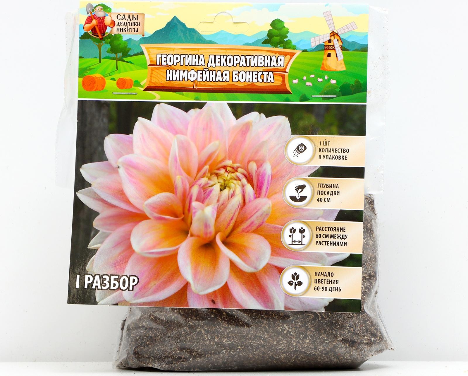 Георгина Декоративная 