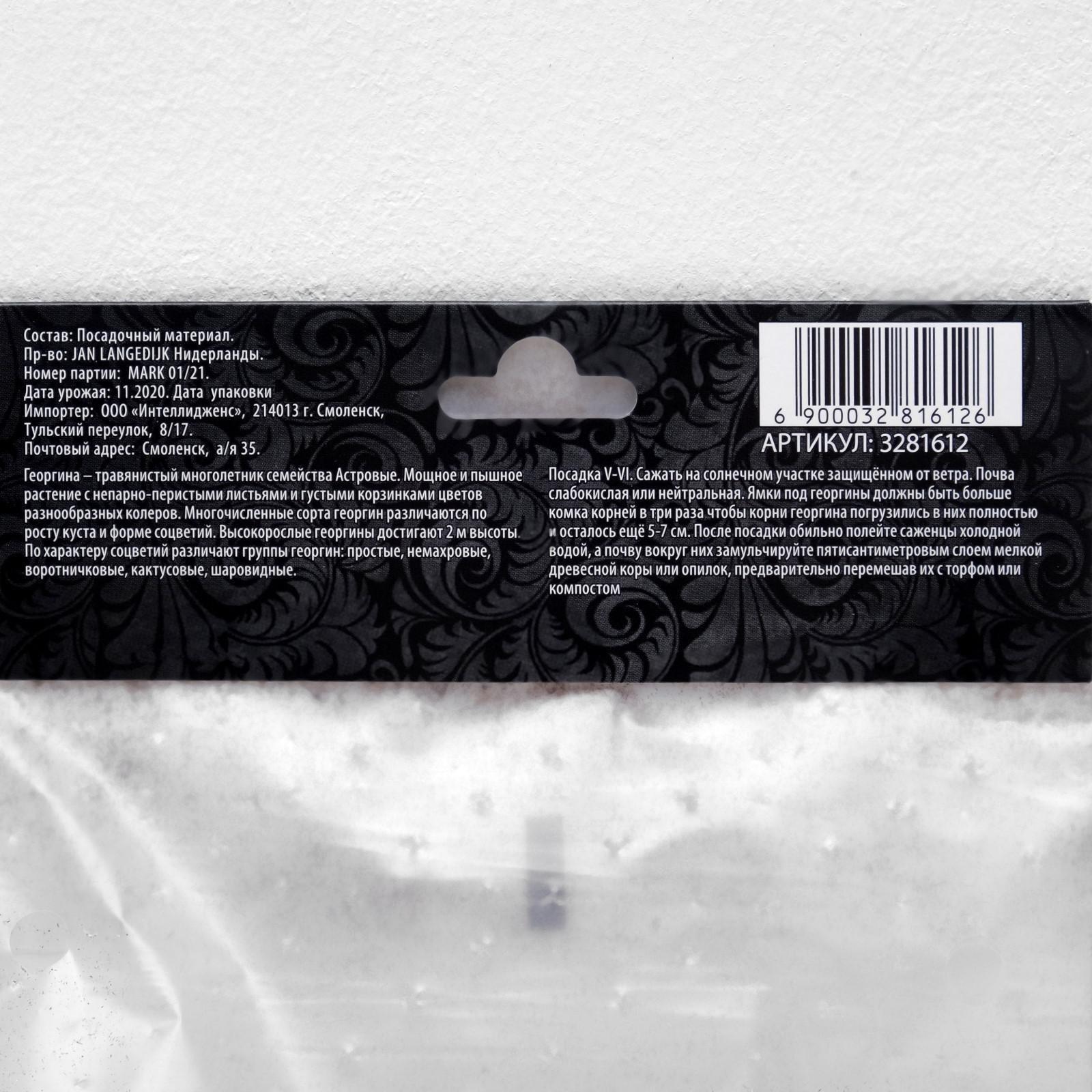 Георгина Декоративная 