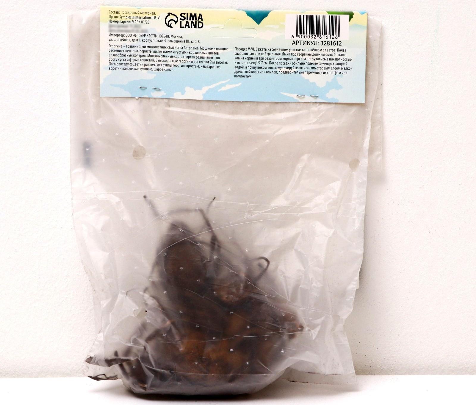 Георгина Декоративная 