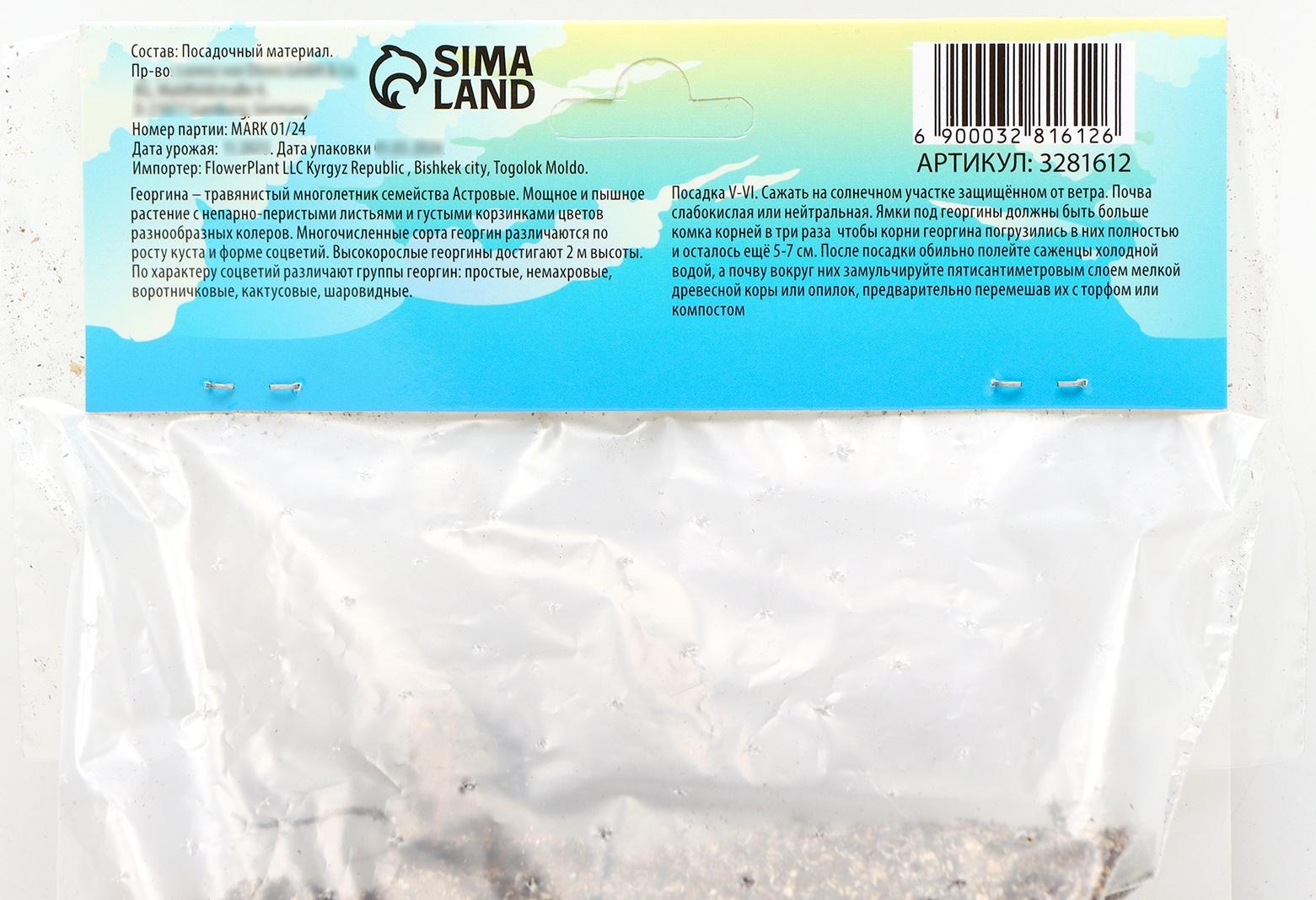 Георгина Декоративная 