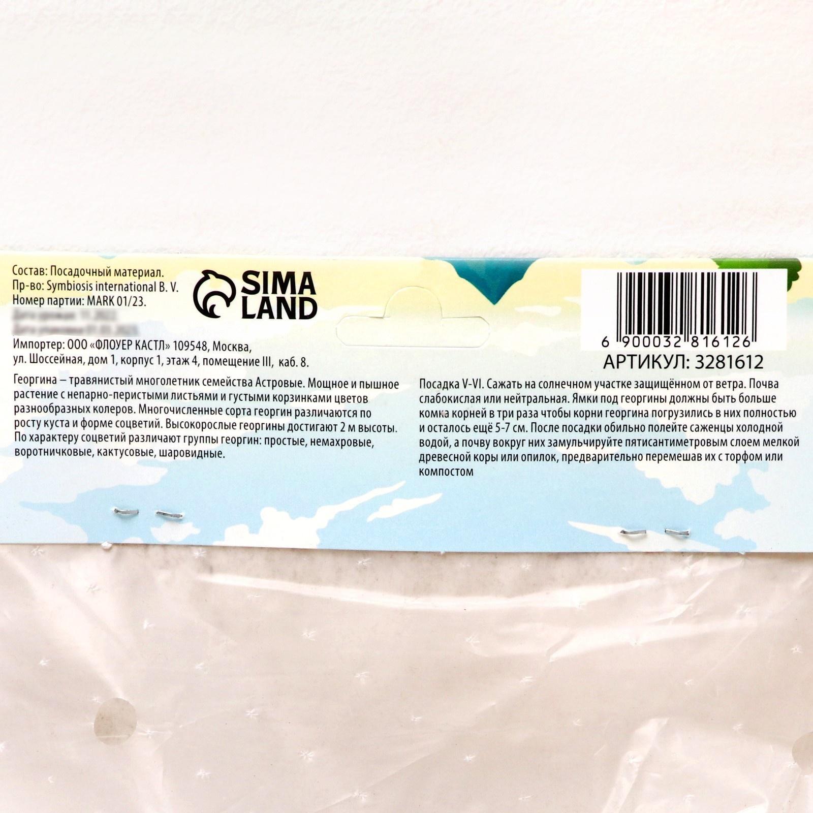 Георгина Декоративная 