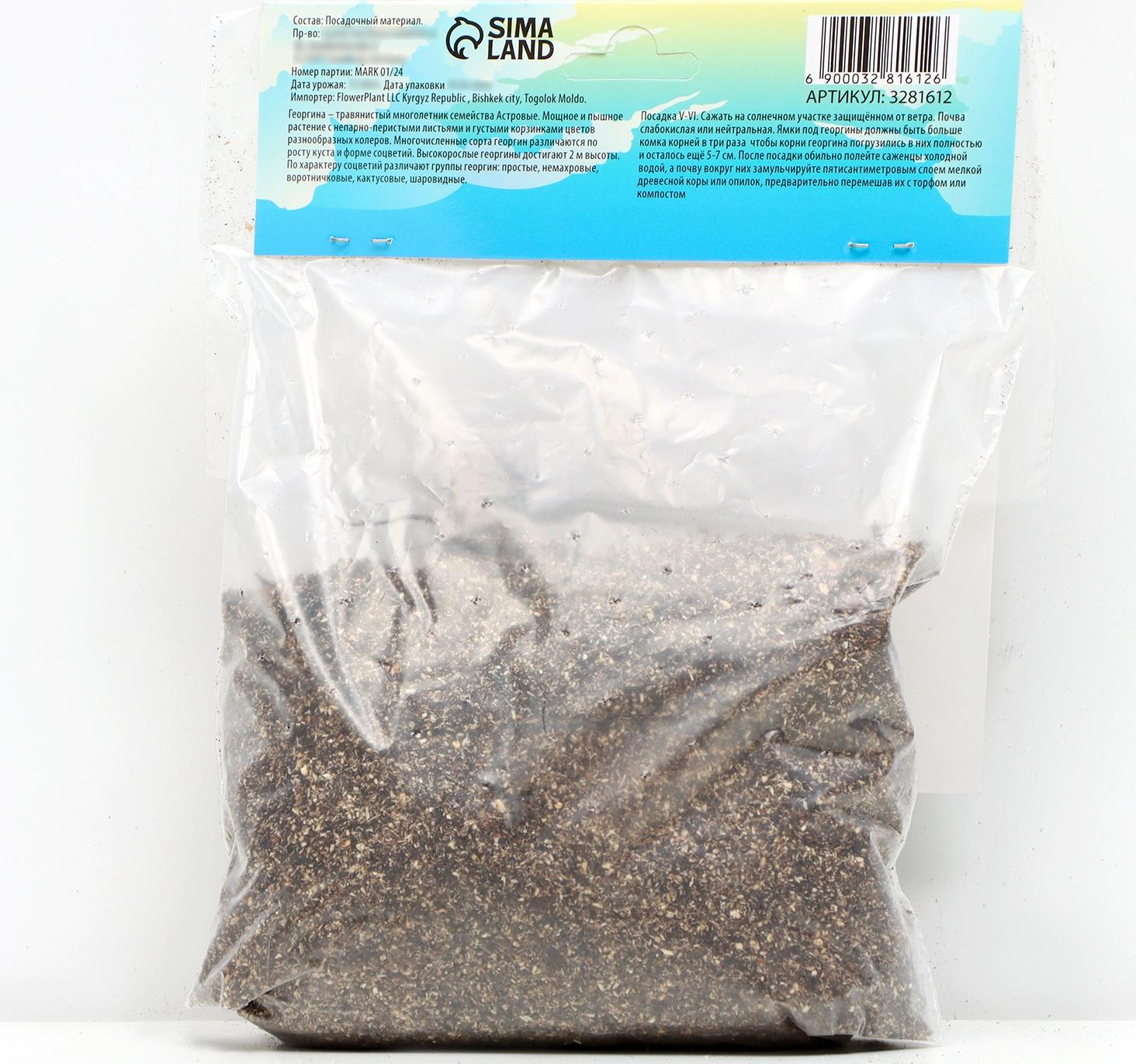 Георгина Декоративная 