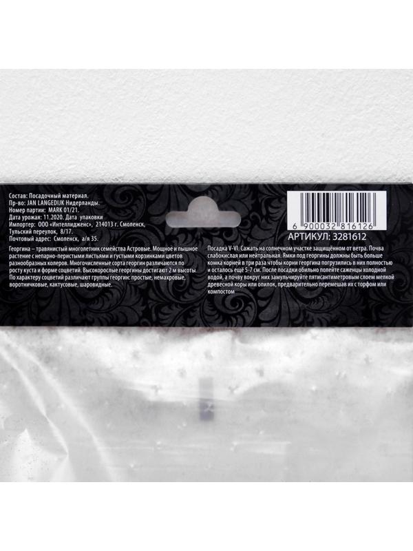 Георгина Декоративная 