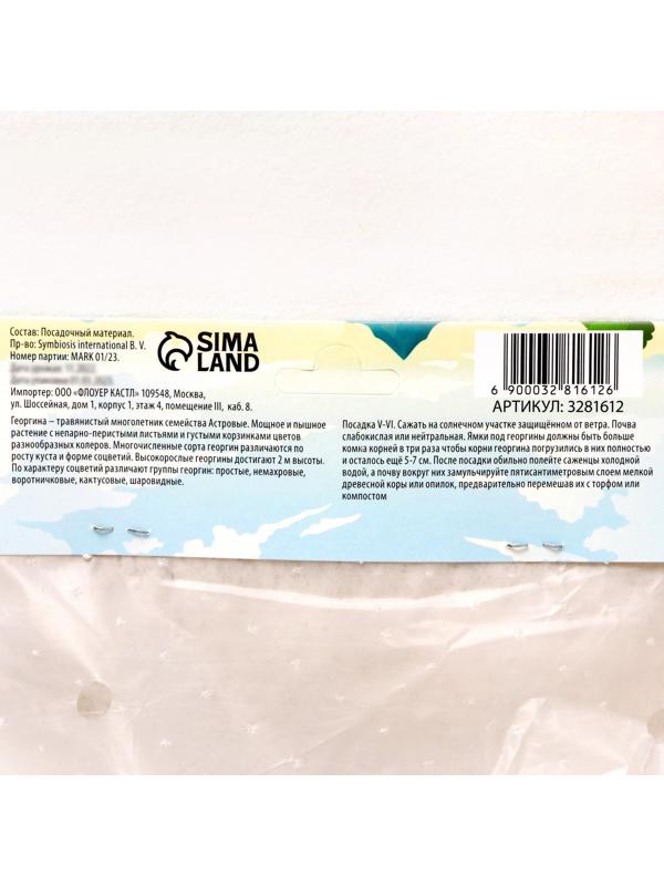 Георгина Декоративная 