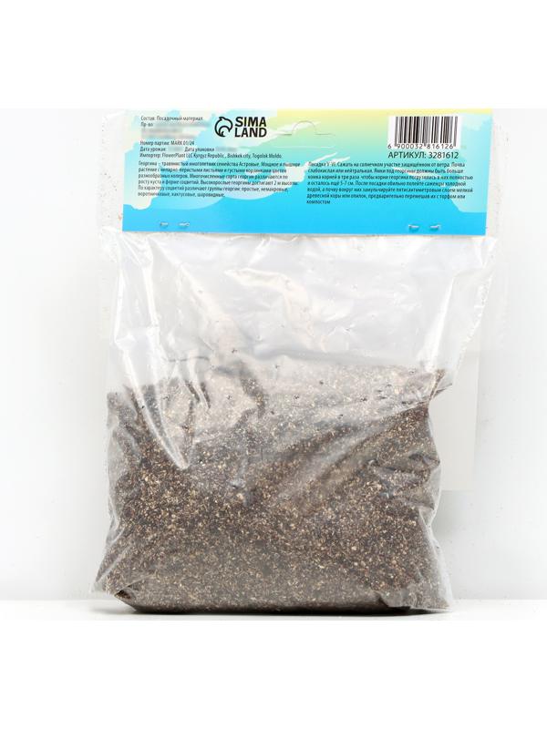 Георгина Декоративная 