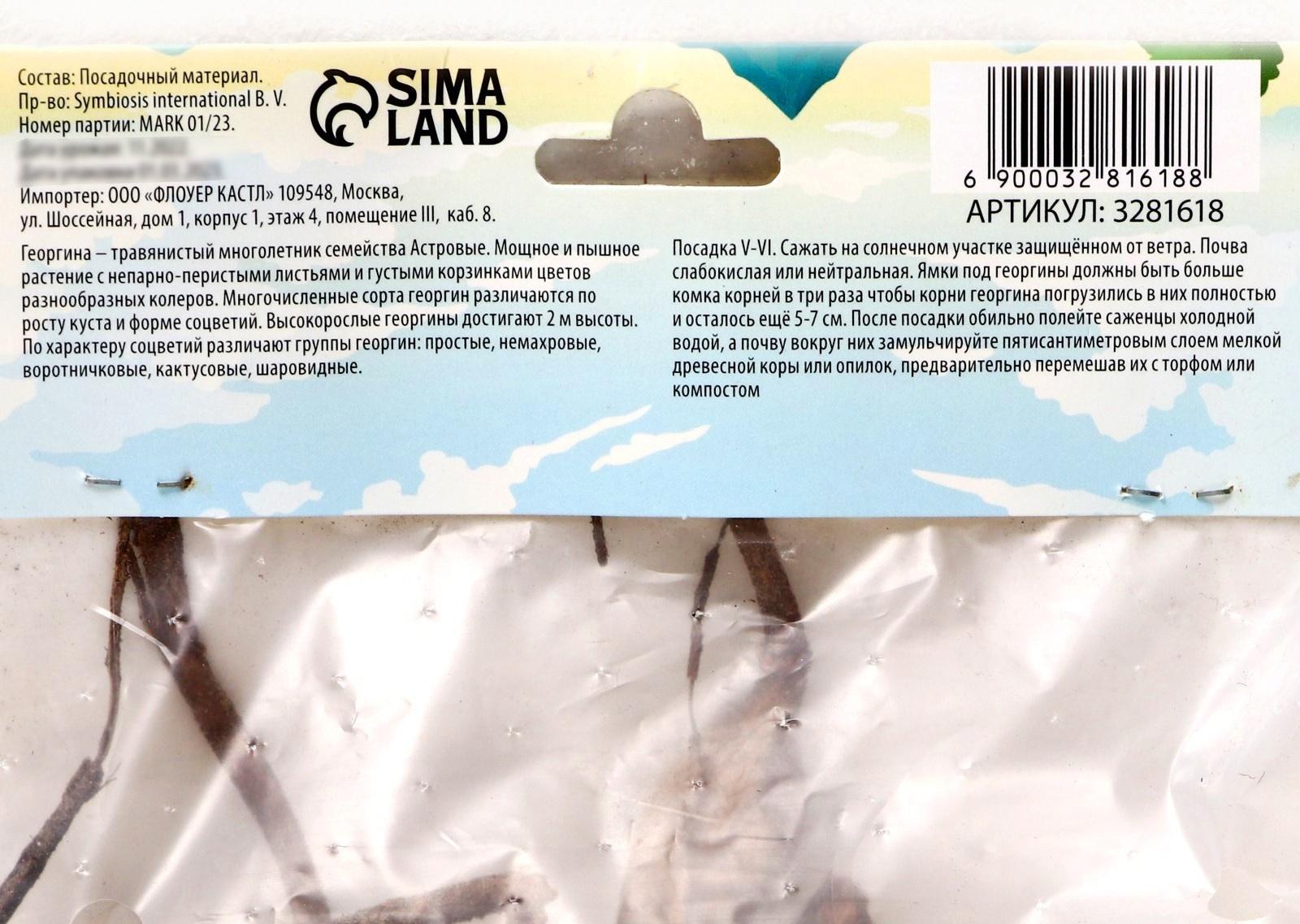 Георгина Декоративная 