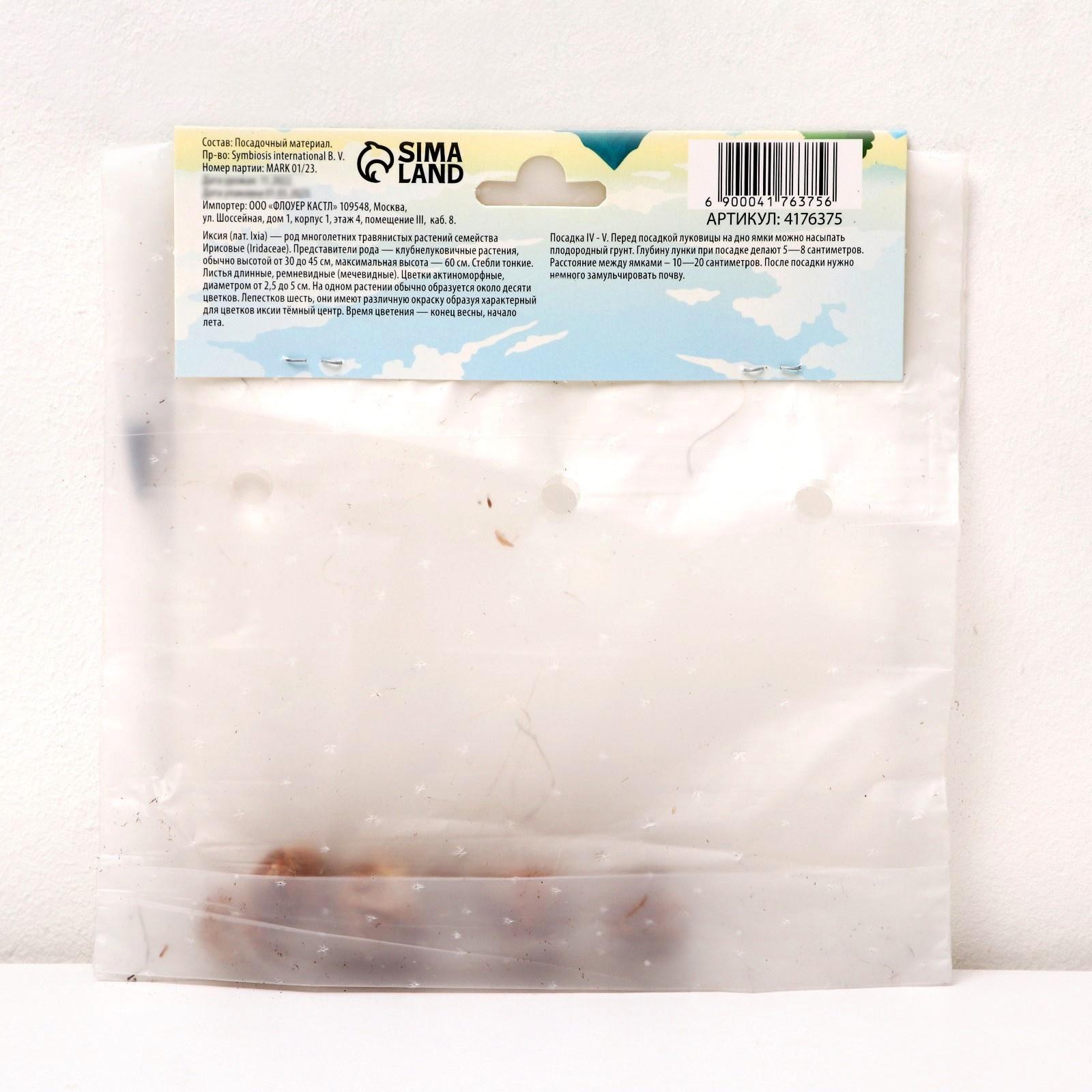 Иксия микс, р-р 5/+, 5 шт, Весна 2024