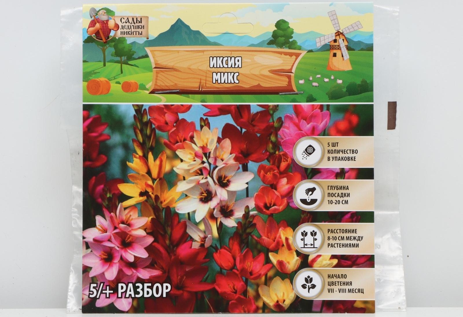 Иксия микс, р-р 5/+, 5 шт, Весна 2024