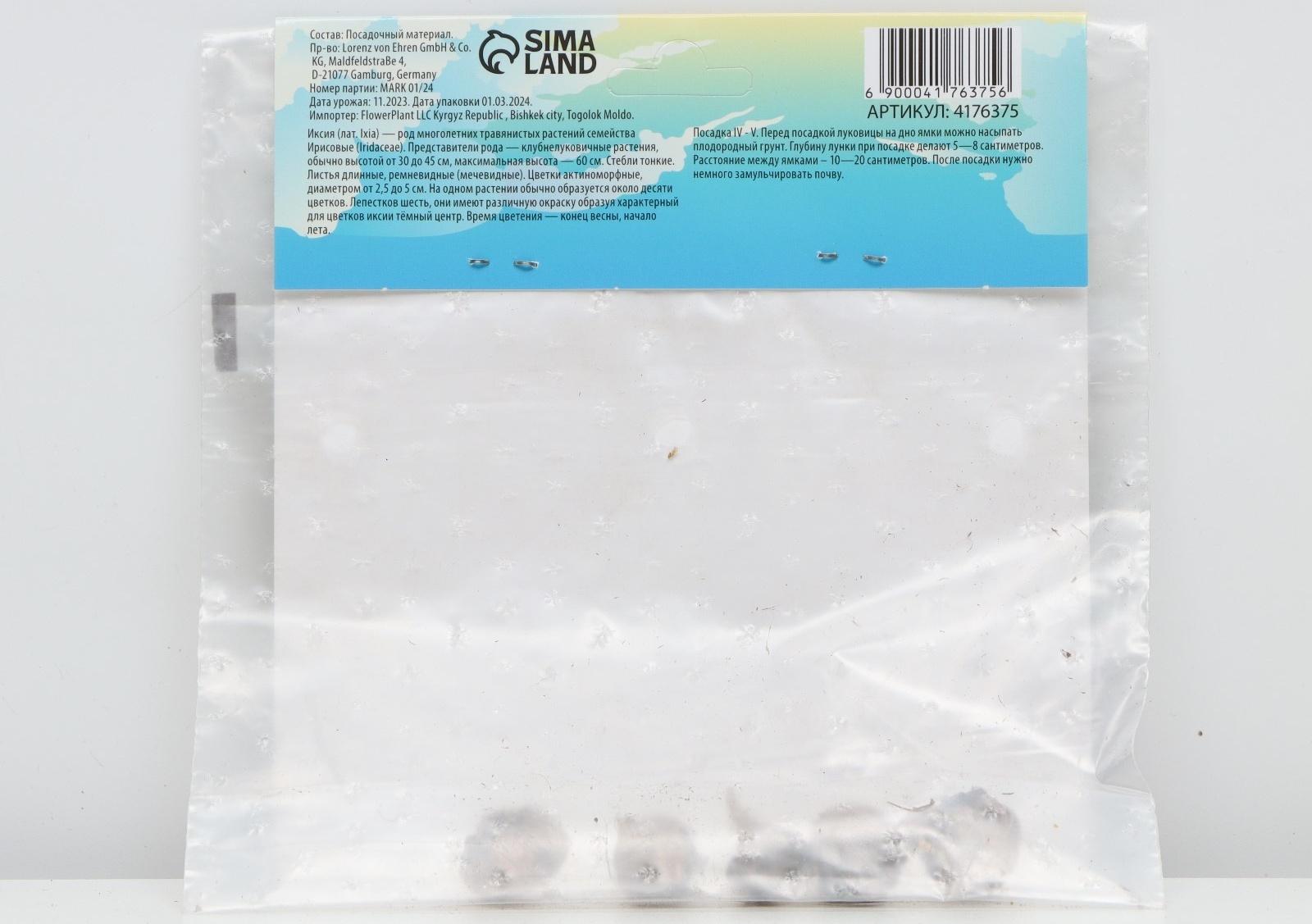 Иксия микс, р-р 5/+, 5 шт, Весна 2024