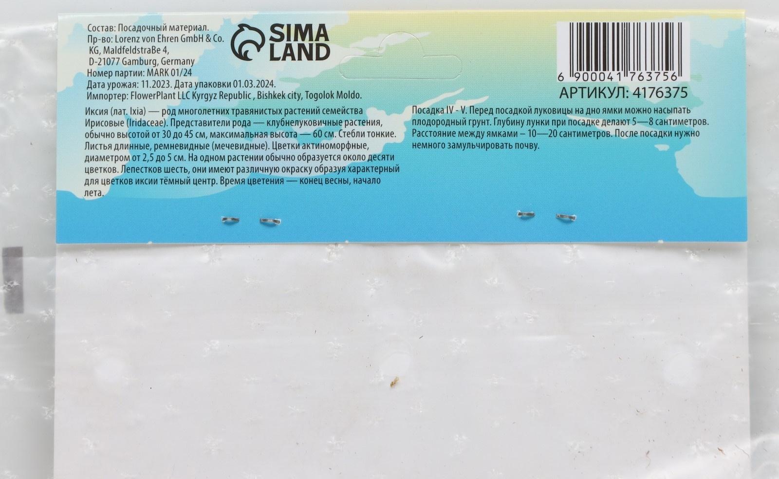 Иксия микс, р-р 5/+, 5 шт, Весна 2024