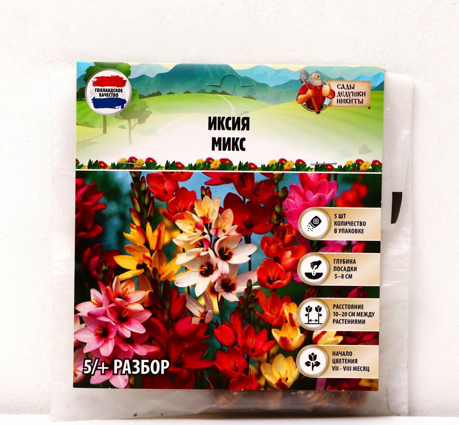 Иксия микс, р-р 5/+, 5 шт, Весна 2024