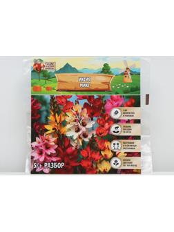 Иксия микс, р-р 5/+, 5 шт, Весна 2024