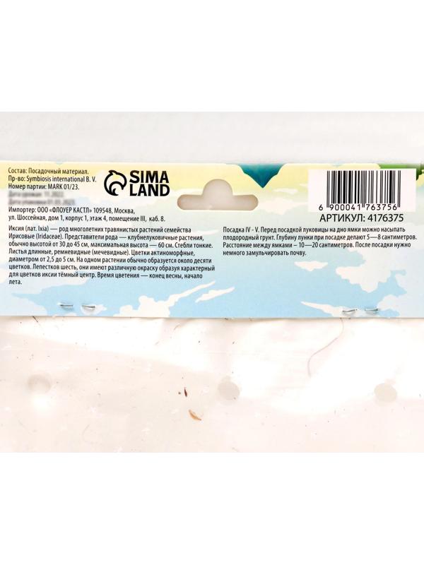 Иксия микс, р-р 5/+, 5 шт, Весна 2024