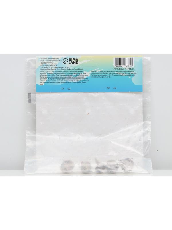 Иксия микс, р-р 5/+, 5 шт, Весна 2024