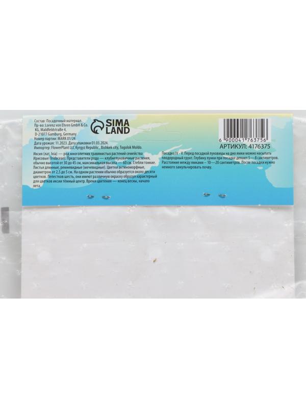 Иксия микс, р-р 5/+, 5 шт, Весна 2024