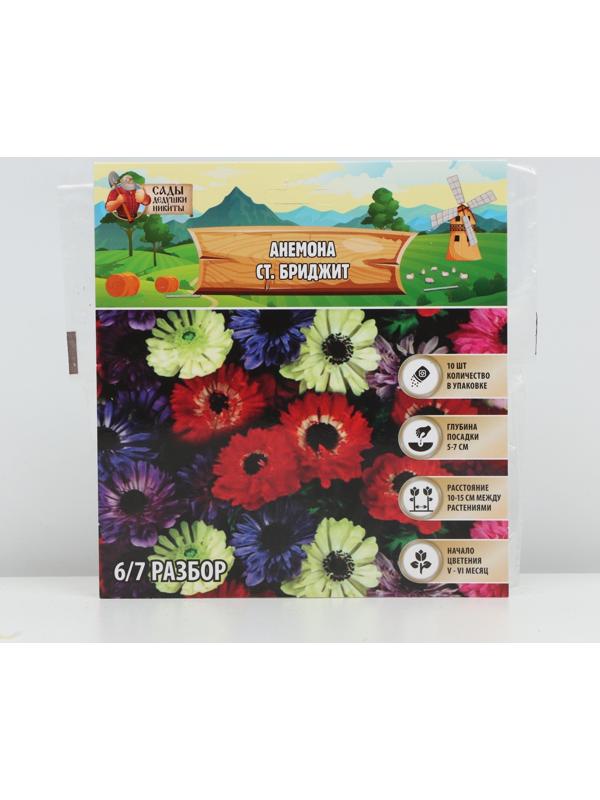 Анемона 