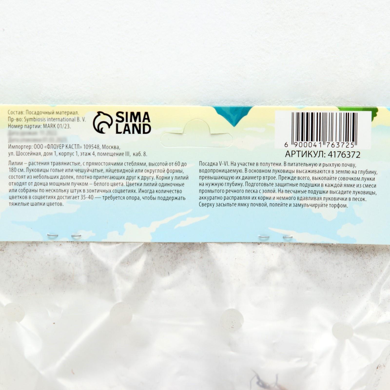 Лилия Махровая 