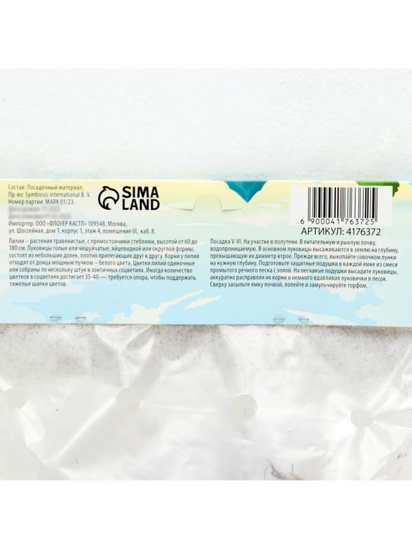 Лилия Махровая 