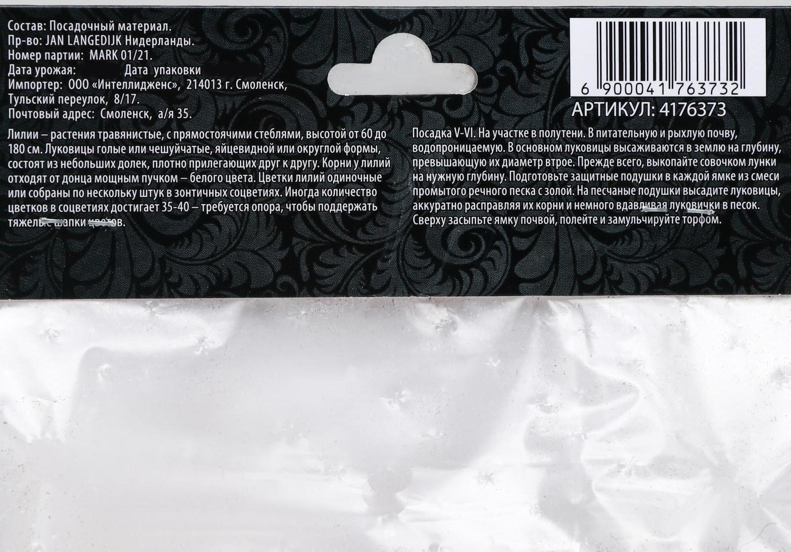 Лилия Азиатская 