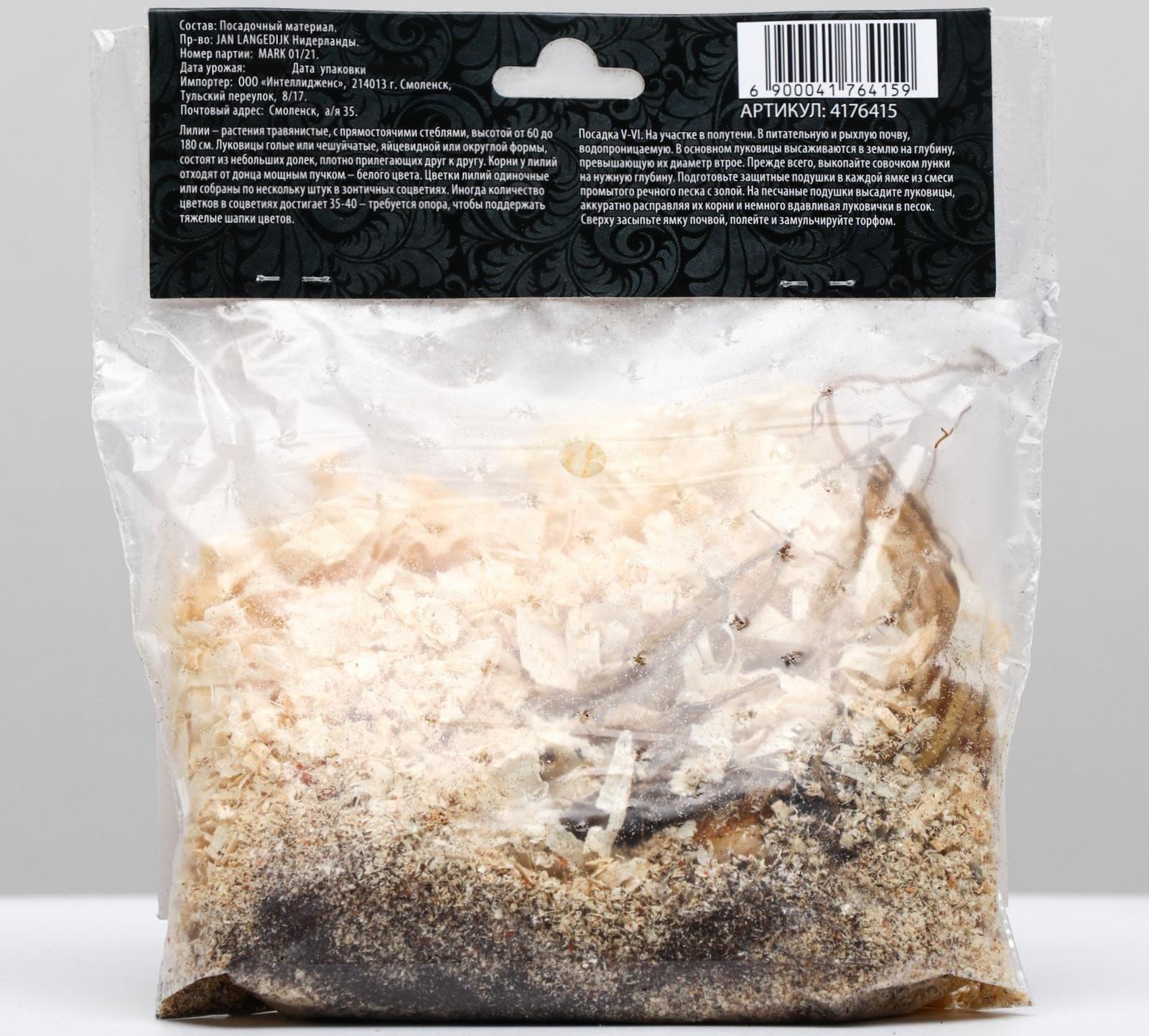 Лилия ОТ-гибрид 