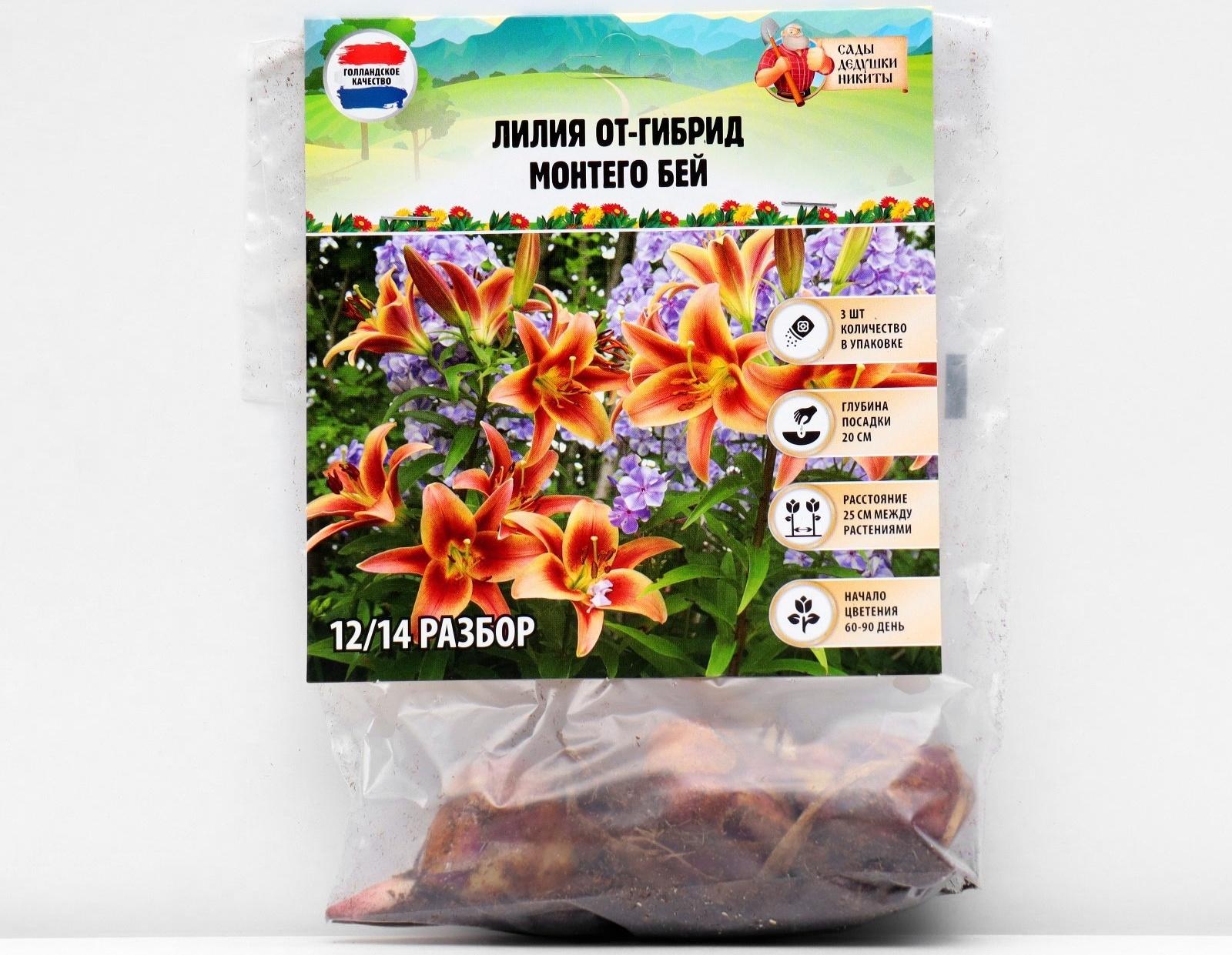 Лилия ОТ-гибрид 