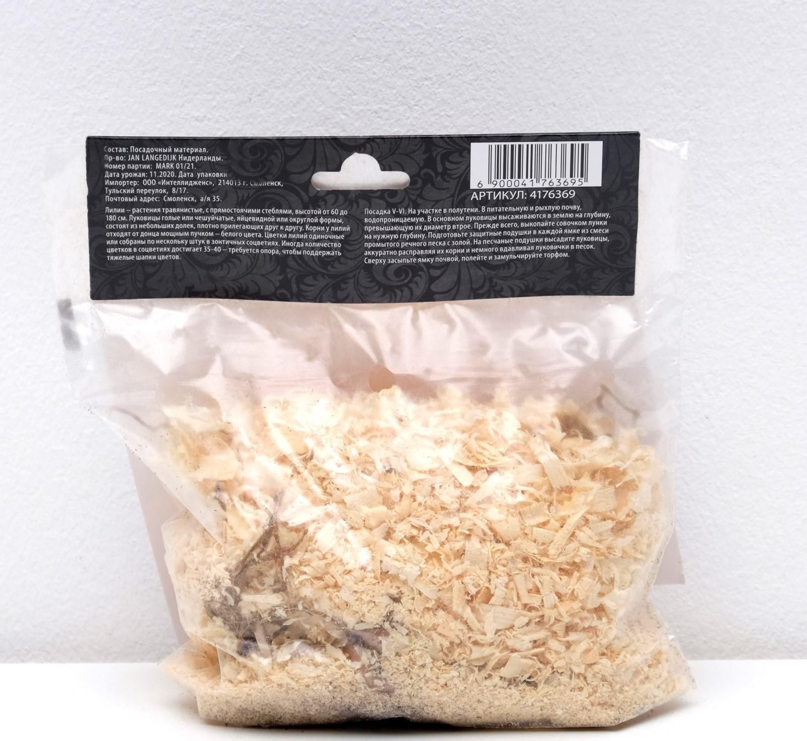 Лилия Восточная 