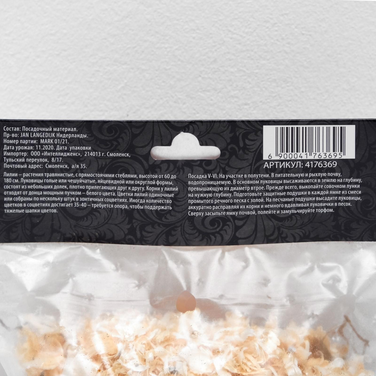 Лилия Восточная 