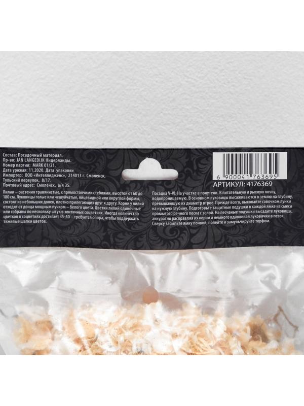 Лилия Восточная 