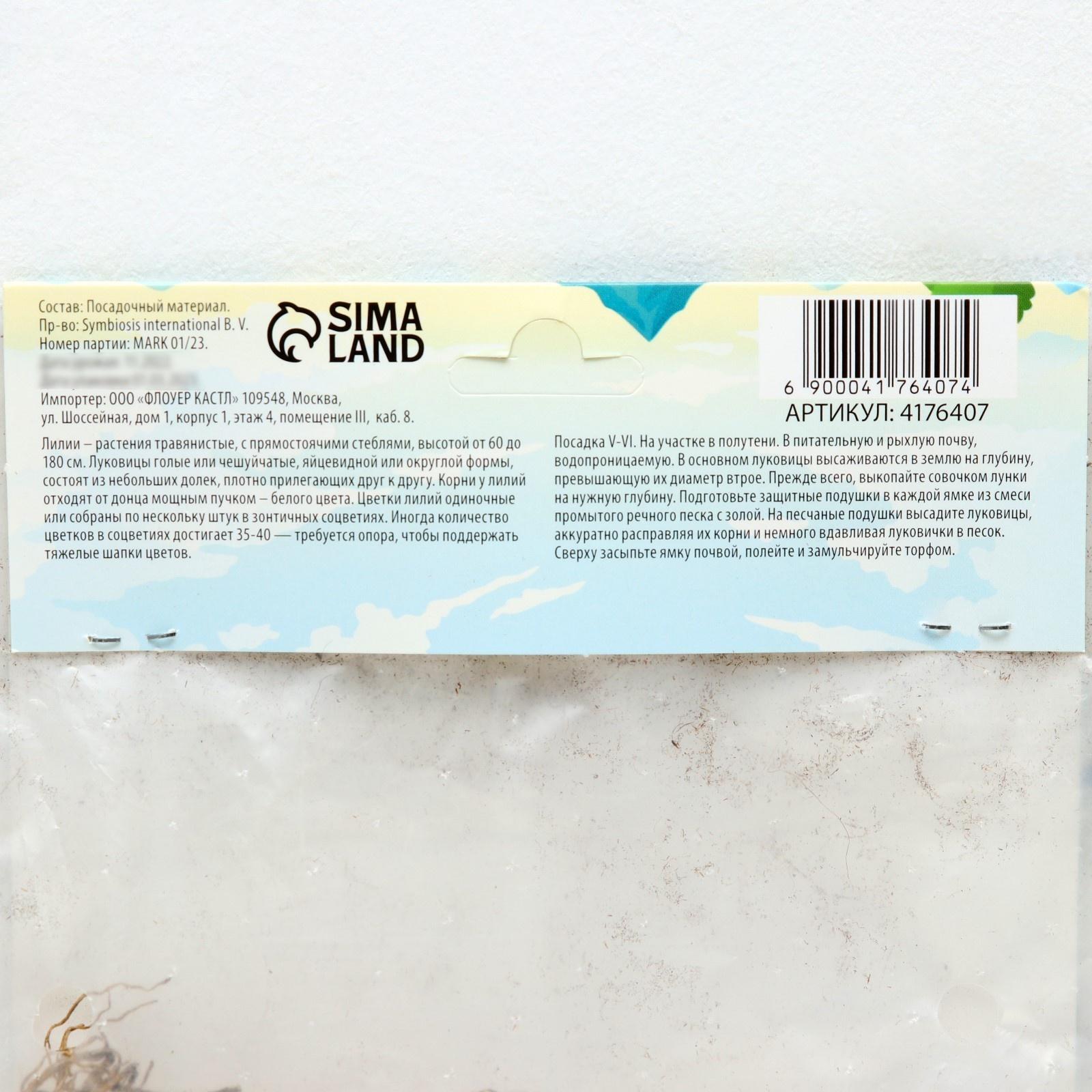 Лилия Восточная 