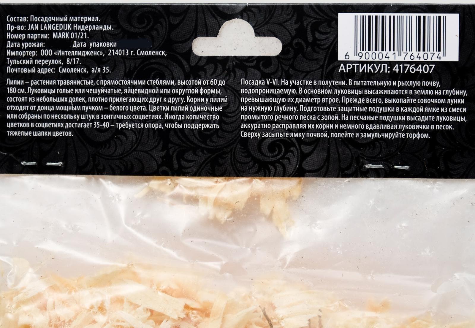 Лилия Восточная 