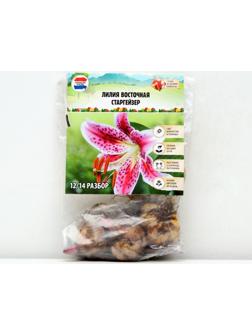 Лилия Восточная 