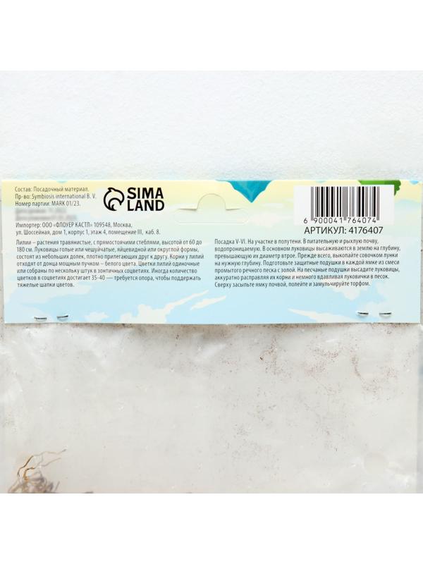 Лилия Восточная 