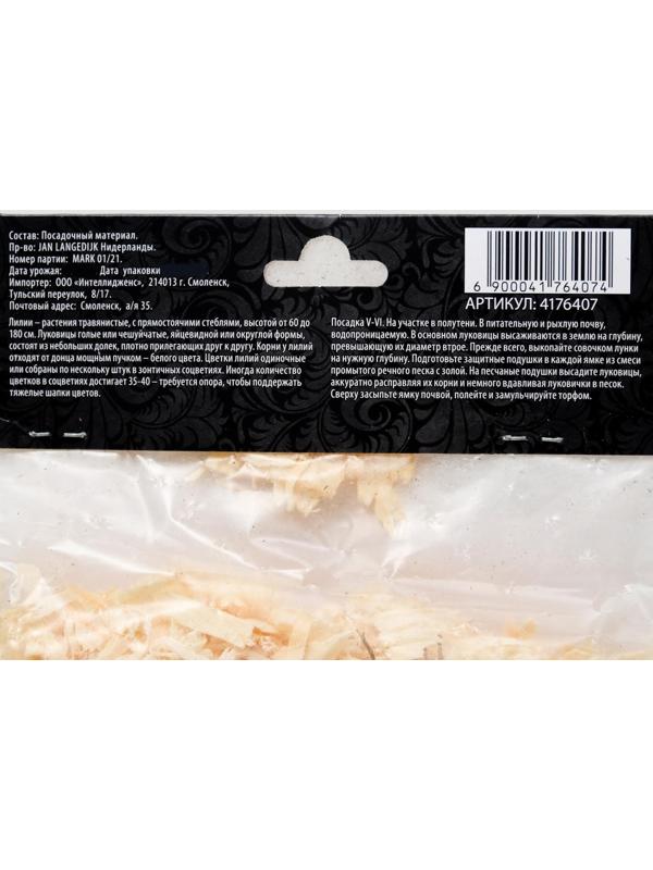 Лилия Восточная 