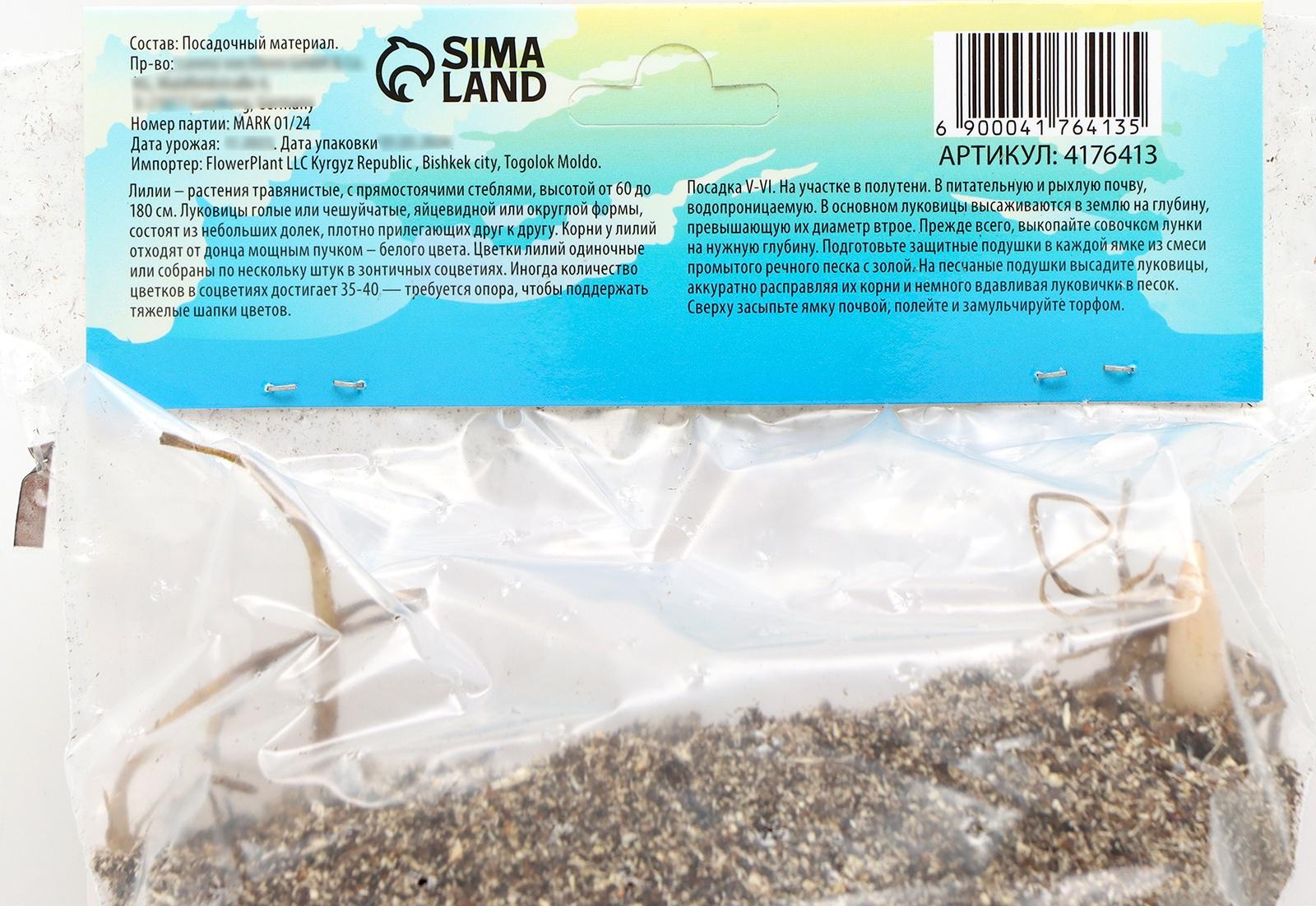 Лилия Чалмовидная 