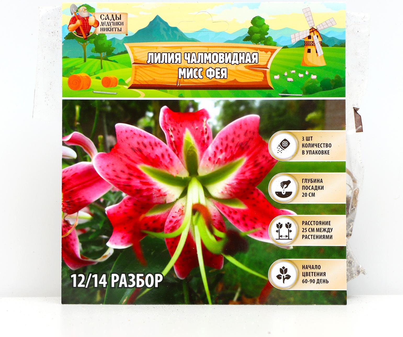 Лилия Чалмовидная 