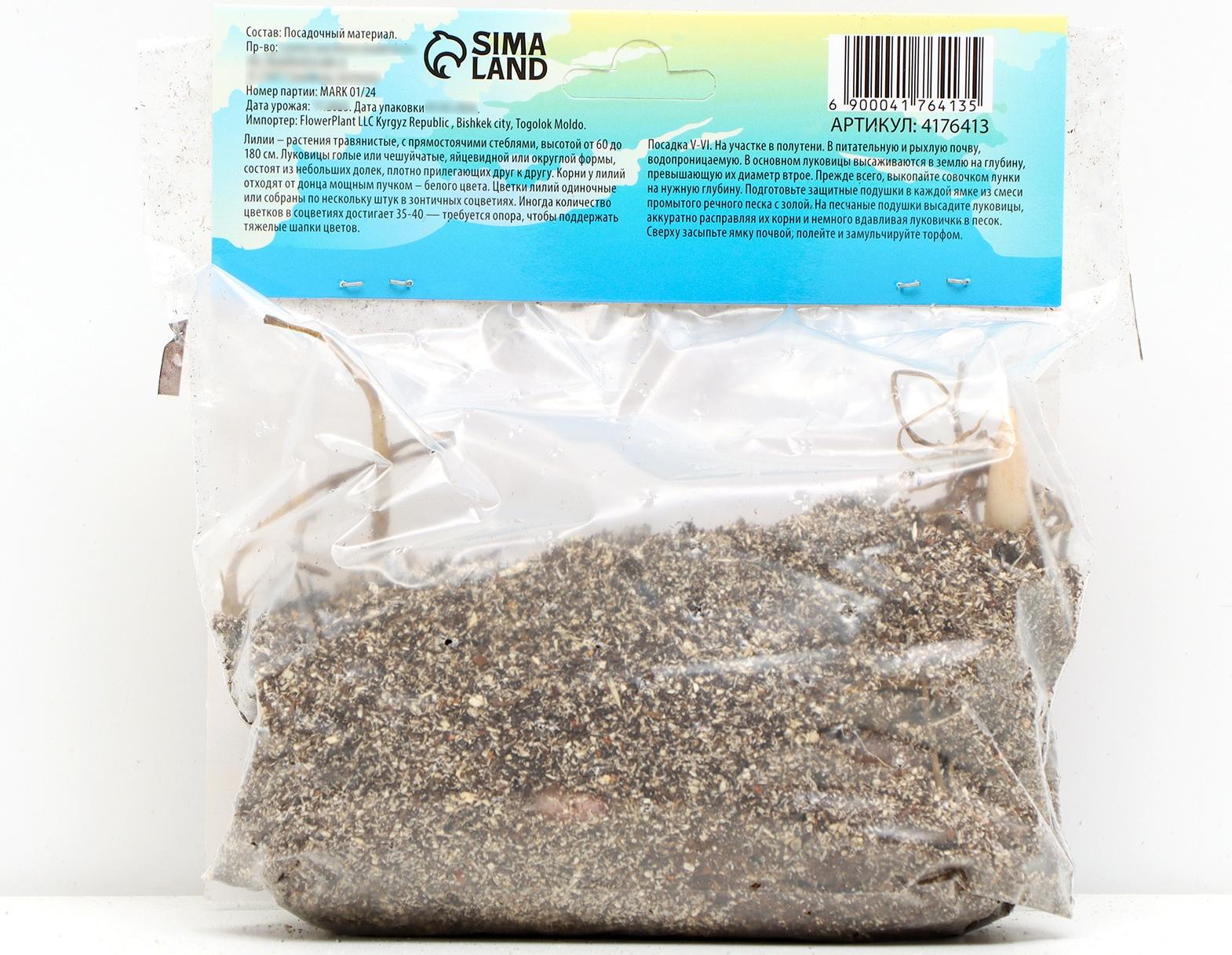 Лилия Чалмовидная 