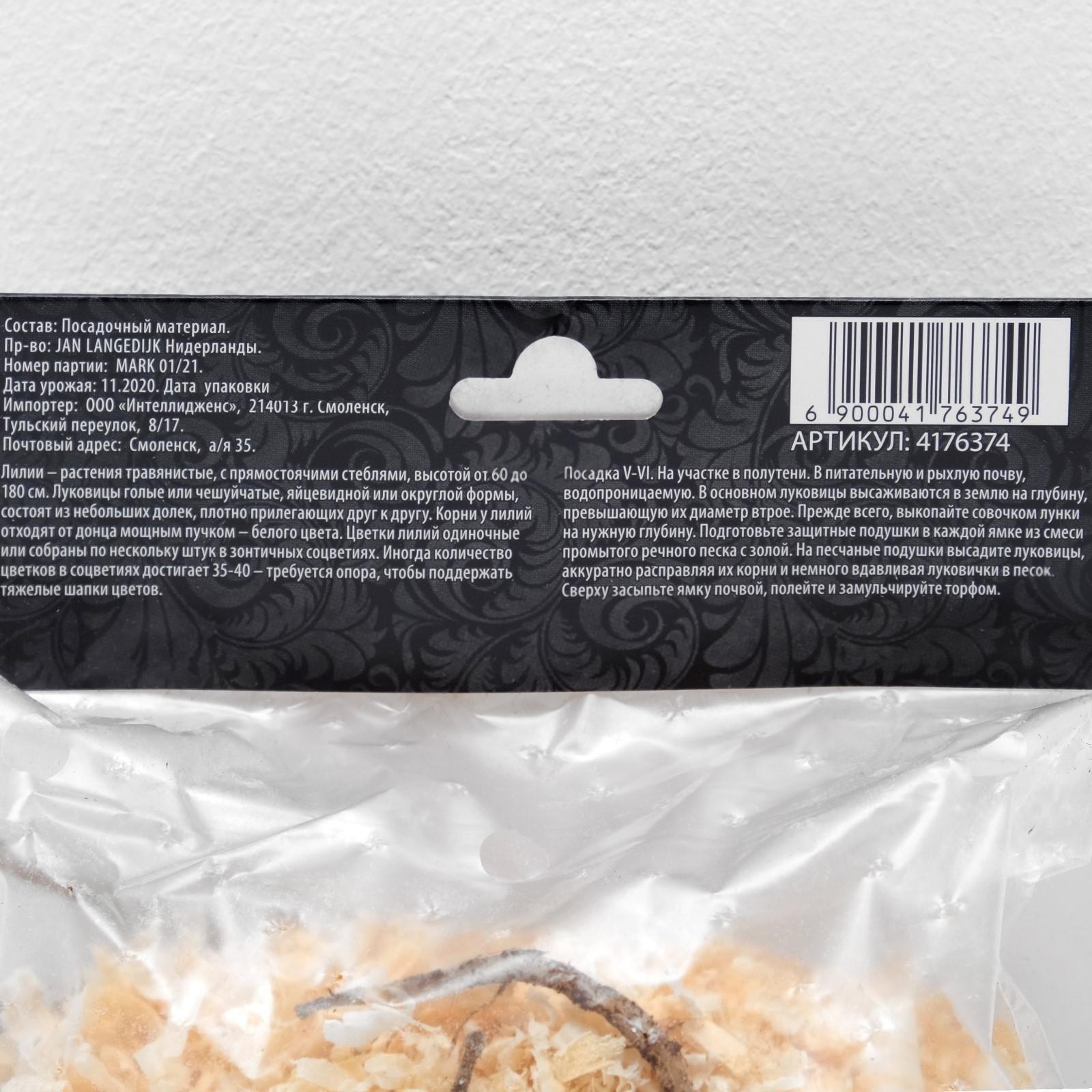 Лилия Восточная 