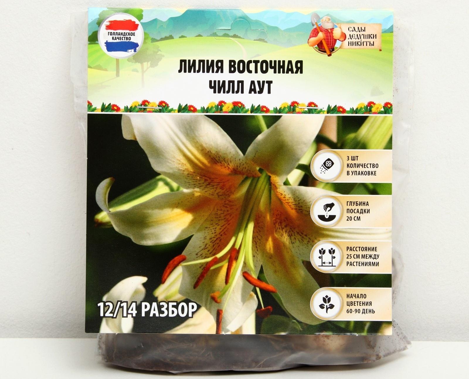 Лилия Восточная 