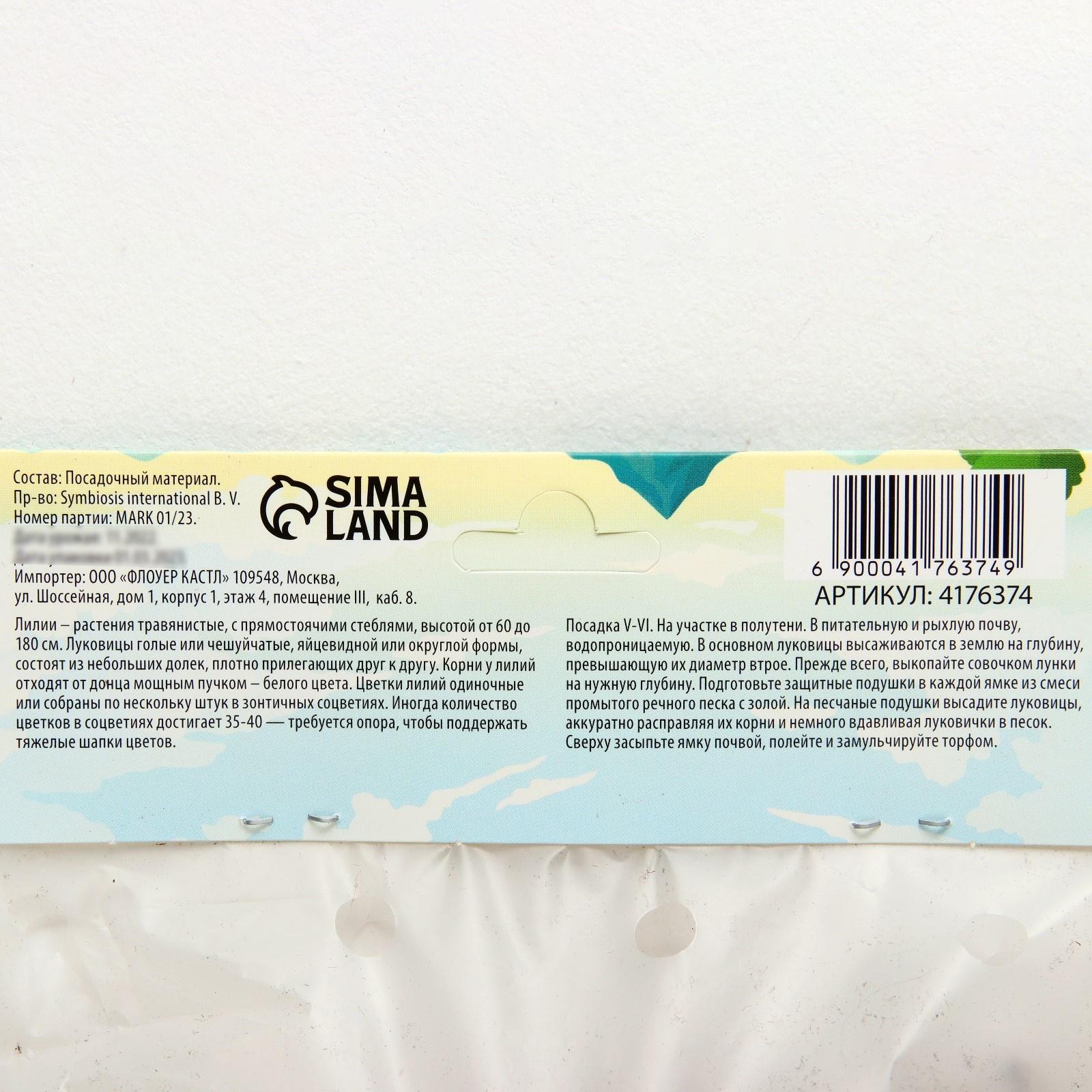 Лилия Восточная 