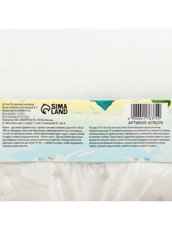 Лилия Восточная 