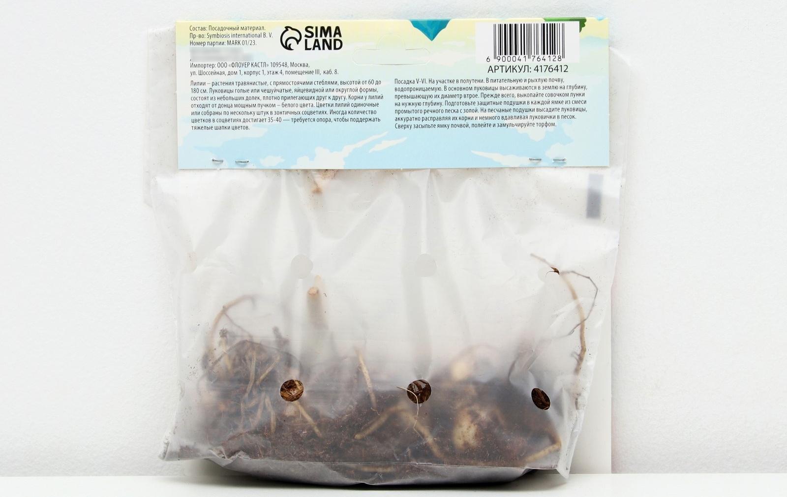 Лилия Тигровая 