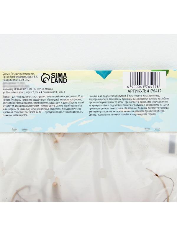 Лилия Тигровая 