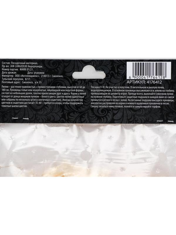 Лилия Тигровая 