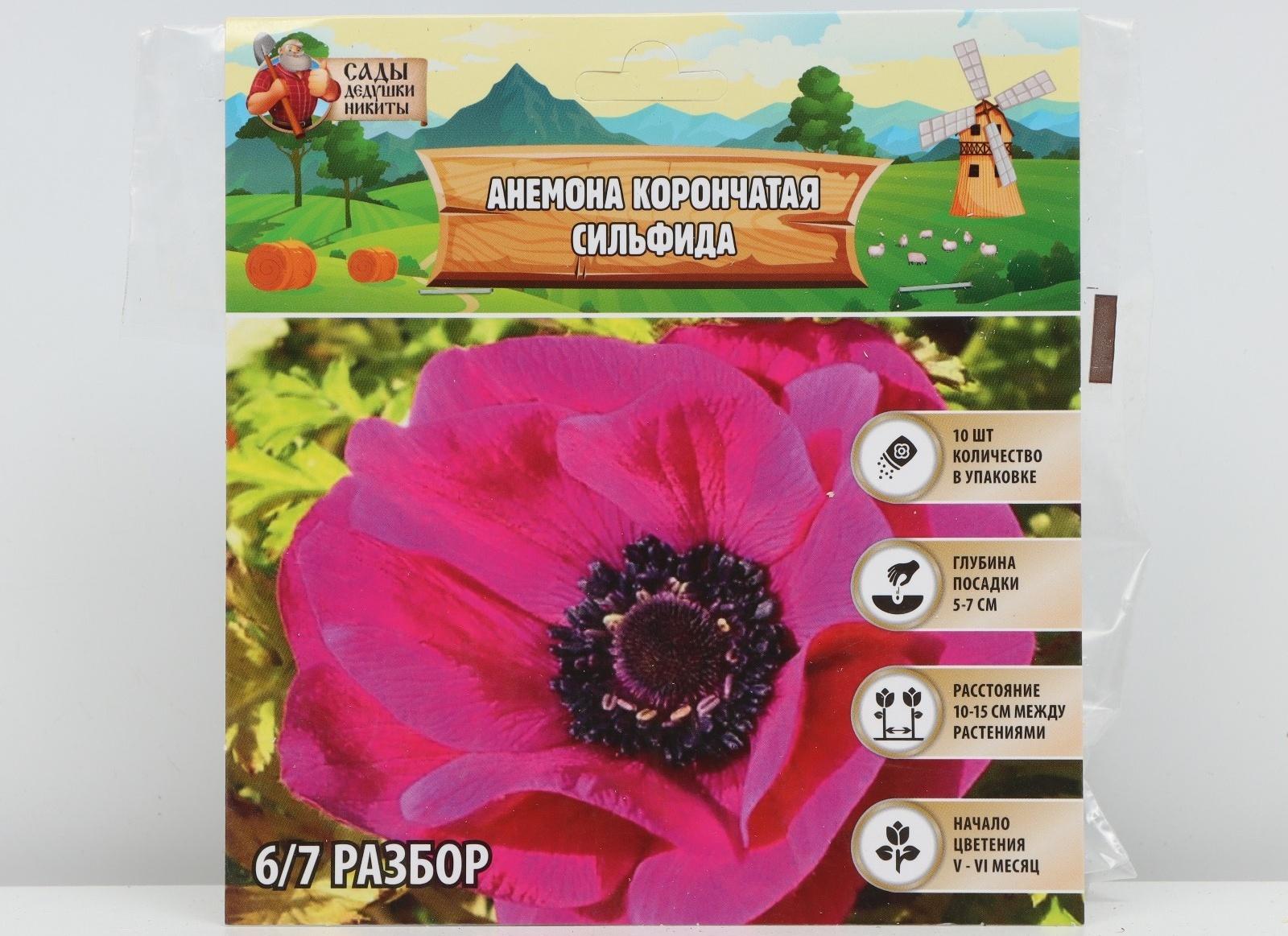 Анемона корончатая 