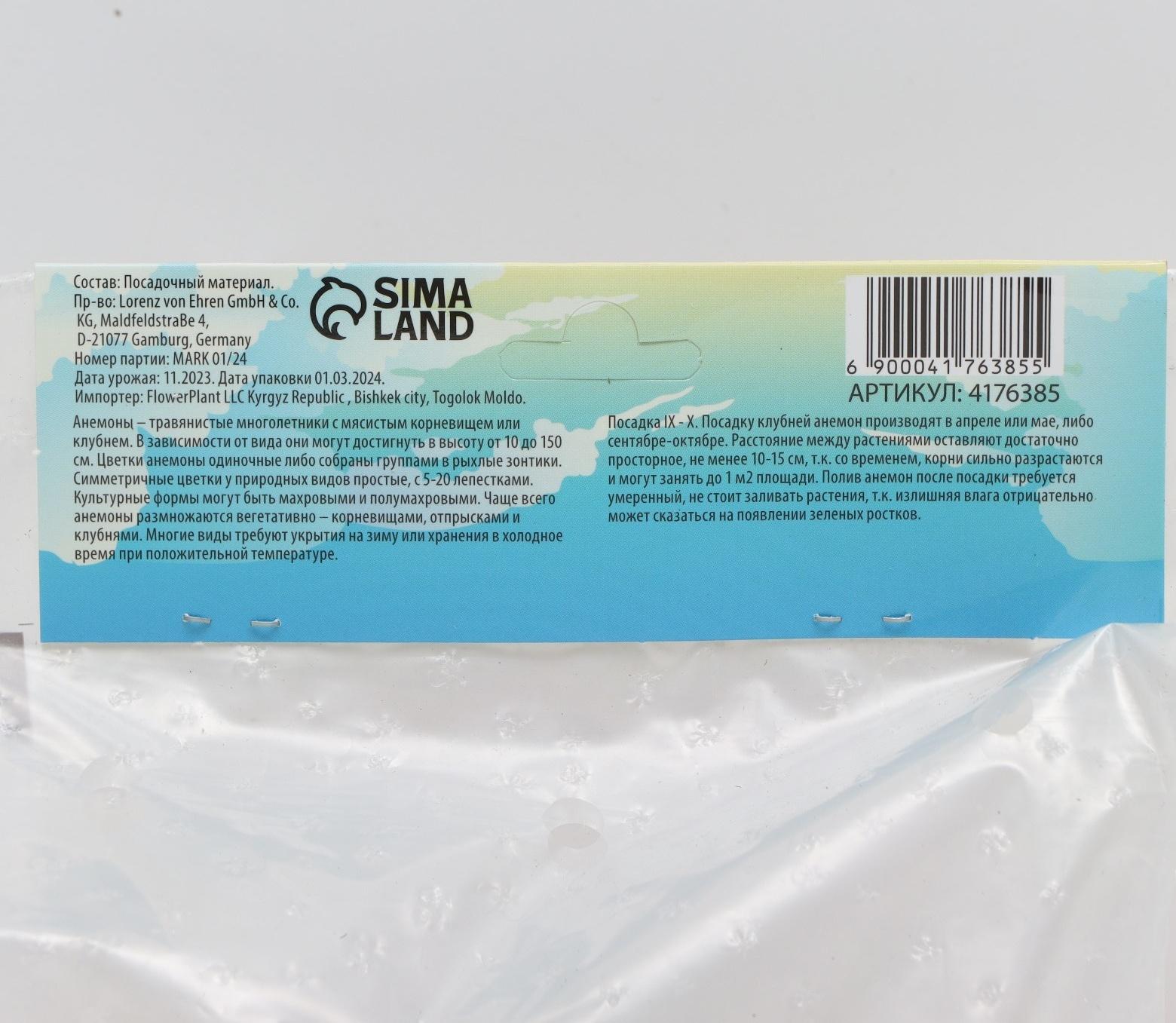 Анемона корончатая 