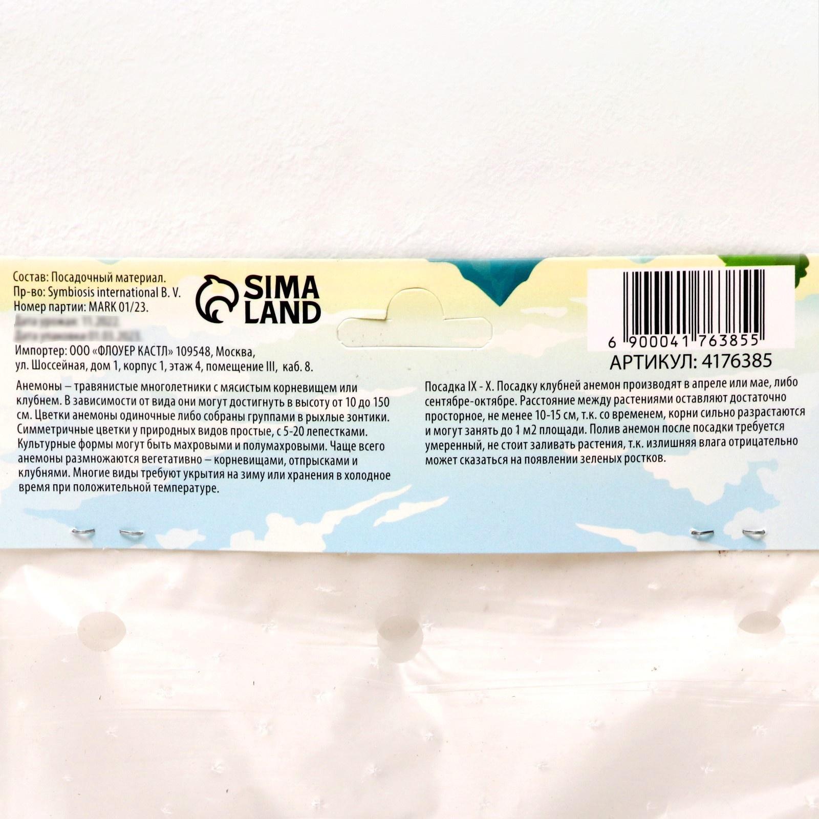 Анемона корончатая 