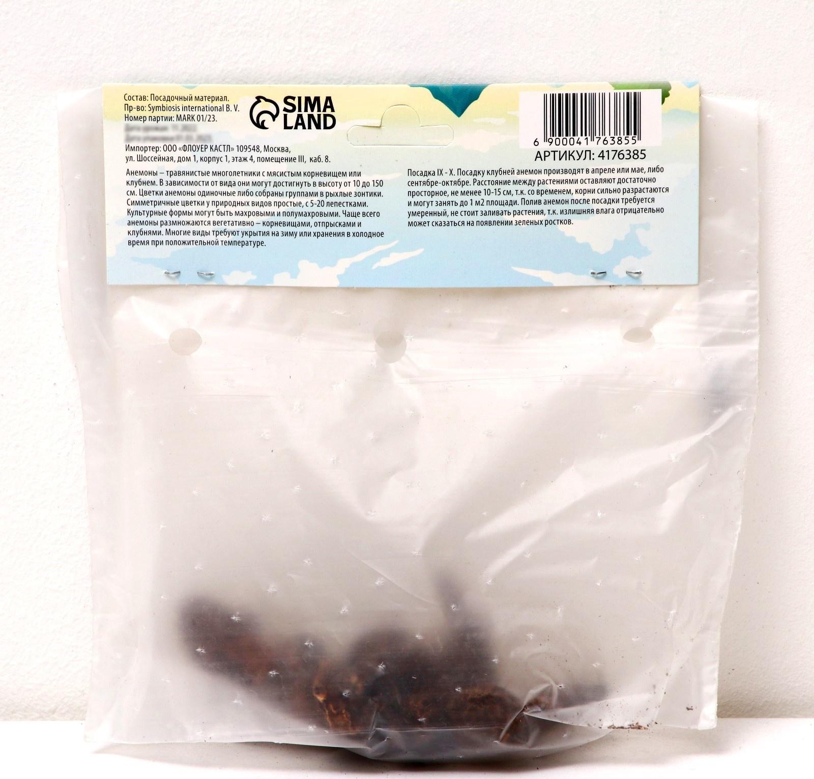 Анемона корончатая 